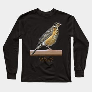 What? Robin Long Sleeve T-Shirt